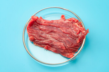 Food engineering, lab grown beef and the diet of the future concept with meat in glass petri dish...