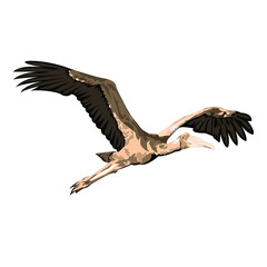 Illustration Vector Graphic of Stork design
