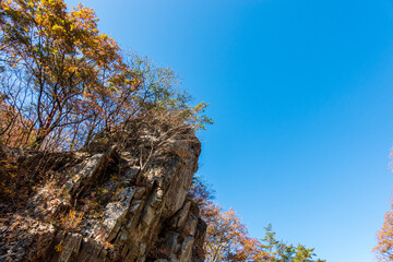【栃木県】紅葉時期の龍王峡