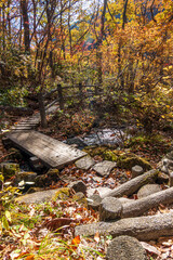 【栃木県】紅葉時期の龍王峡