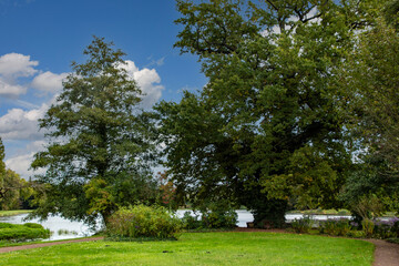 Fototapeta na wymiar Dutch summer landscape with trees, green grass and cloudy blue sky