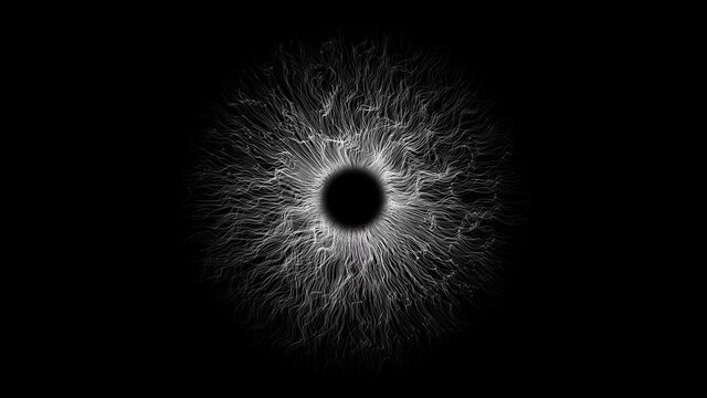 Eye iris from flowing wavy particles and trails, rays. Seamless loop motion background. 