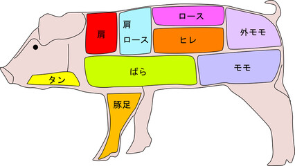 豚の部位のイラスト素材