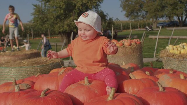 Little girl sits on red pumpkins. Childrens environmental health in agricultural settings.