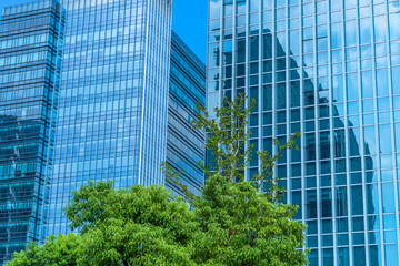 green trees front of modern glass office building