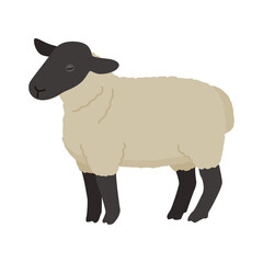 羊のイラスト