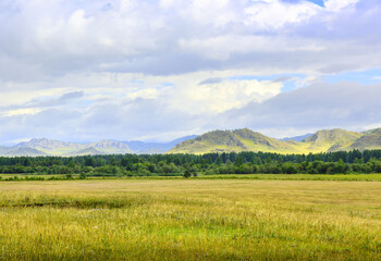 Fototapeta premium A rural field in the Altai mountains