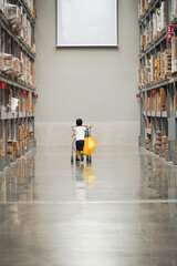 Obraz premium Large furniture warehouse,, Rows of shelves with boxes 
