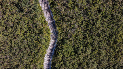 aerial view of a long wooden walking path in the middle of grasses covered wetland on a sunny day - 462535818