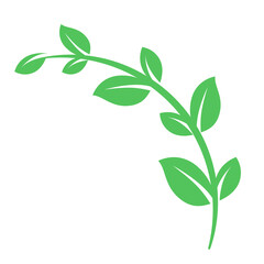 A twig with green leaves, suitable for decorating postcards, invitations, brochures, website design, etc. 