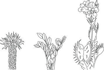 Fototapeta na wymiar Black and white illustration of a bunch of flowers and plants