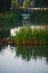 One day with the camera in Swedish archipelago summertime of 2020. High quality photo