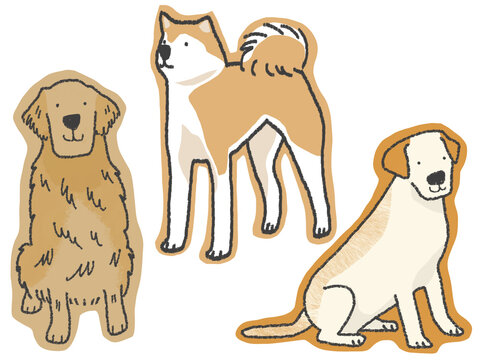 犬　大型犬