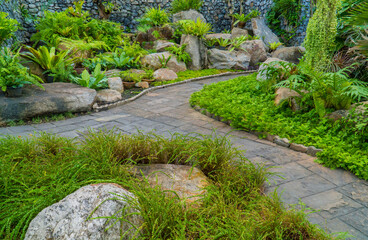 Tropical botanical garden decorated with different shapes of stones with stone pathway. Beautiful botanic park.