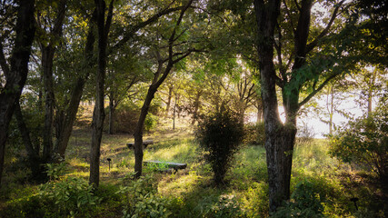 兵庫県稲美町・湖畔の午後陽射し
