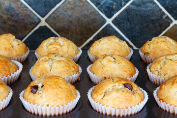 Freshly baked homemade banana chocolate chip muffins; Out of the oven muffins in muffin cups