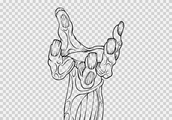 Outline monster or zombie hand holding isolated on png or transparent texture,Halloween party background ,element template for poster,brochures, online advertising,vector illustration © Only Flags