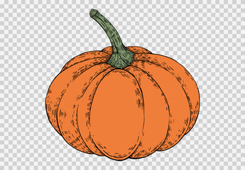 Pumpkin hand draw with brush style isolated on png or transparent texture,Halloween party background ,element template for poster,brochures, online advertising,vector illustration
