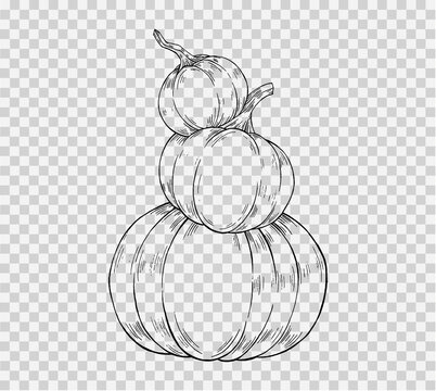 Pile of pumpkins hand draw paint brush style isolated  on png or transparent,Happy halloween background,element template for poster,brochures,online sale marketing  advertising,vector illustration