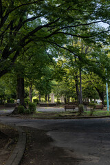 Neighborhood park