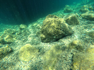 Fototapeta premium Underwater world of Mediterranean Sea. Near Marmaris, Turkey