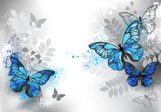 Seamless Blue Butterfly Wallpaper Stock Vector Royalty Free 25878034   Shutterstock