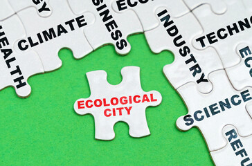 On a green background, white puzzles with text, a puzzle with the inscription - Ecological City