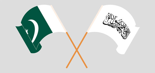 Crossed and waving flags of Pakistan and Taliban © valyalkin