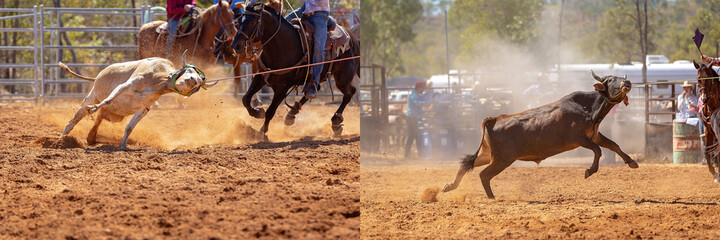 A Rodeo Calf Roping Collage