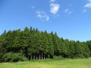 初秋の農村風景