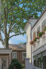 Beautiful picturesque New England style house facades in historic Old Town Alexandria, Virginia...