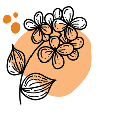doodle with plants, flowers, grass, a bunch of inflorescences. Linear vector illustration.