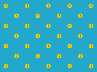 yellow flowers on a blue background, creative pattern of minimalism with free space for text