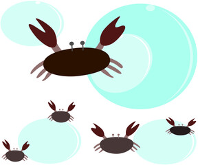 crab sea crab aquatic animal amphibians vector illustration