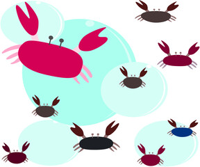 crab sea crab aquatic animal amphibians vector illustration