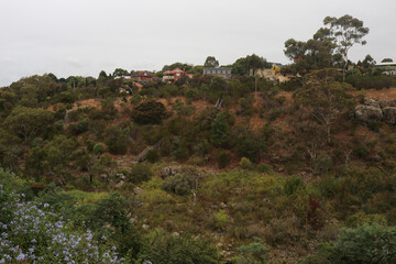 view of vegetation looking down into the gorge at Buckleys Falls Regional Park