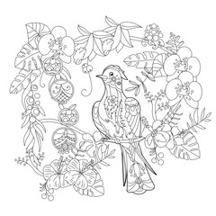 Contour linear illustration for coloring book with paradise bird in flowers. Tropic bird,  anti stress picture. Line art design for adult or kids  in zen-tangle style, tattoo and coloring page.