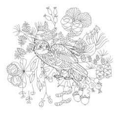 Contour linear illustration for coloring book with bird in forest plants. Pretty owl,  anti stress picture. Line art design for adult or kids  in zen-tangle style, tattoo and coloring page.