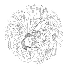 Contour linear illustration for coloring book with bird in flowers. Tropic pelican,  anti stress picture. Line art design for adult or kids  in zen-tangle style, tattoo and coloring page.