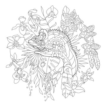 Contour linear illustration for coloring book with chameleon in flowers. Tropic reptile,  anti stress picture. Line art design for adult or kids  in zen-tangle style, tattoo and coloring page.