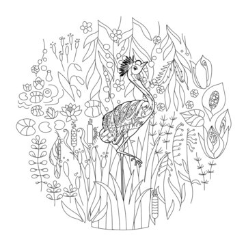 Contour linear illustration for coloring book with bird in flowers. Beautiful heron,  anti stress picture. Line art design for adult or kids  in zen-tangle style, tattoo and coloring page.
