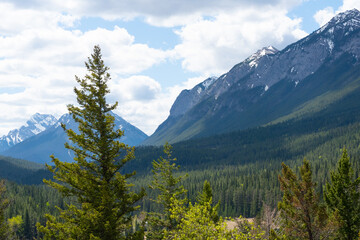 Fototapeta na wymiar Rocky Mountains on a clear day in Spring