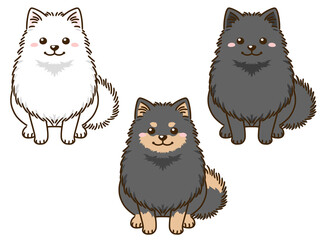 色々な毛色のポメラニアン