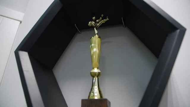 Cup for combats golden figurine