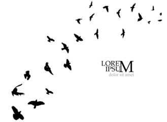 A large flock of flying birds. Free birds. Vector illustration