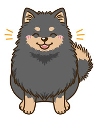 喜ぶポメラニアン（ブラックタン）