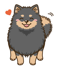 なつくポメラニアン（ブラックタン）