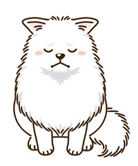 落ち込むポメラニアン（白）