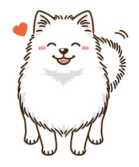 なつくポメラニアン（白）