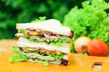 Closeup to Sandwich tuna on wood plate